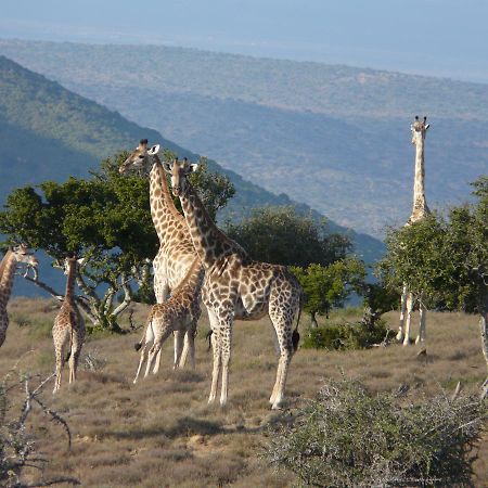 Koedoeskop Private Mountain Reserve Waterford Экстерьер фото